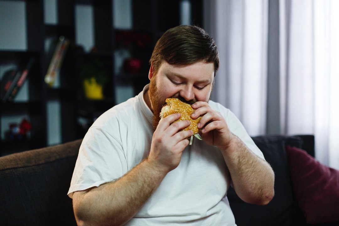 9 fatores de risco para a obesidade
