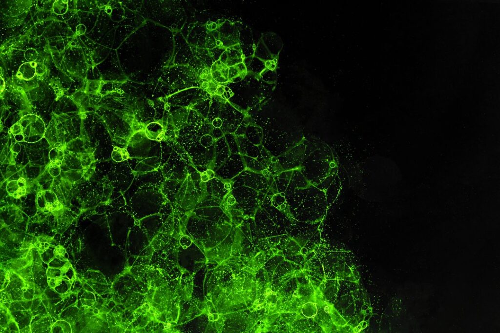 6 doenças relacionadas ao excesso de toxinas no corpo