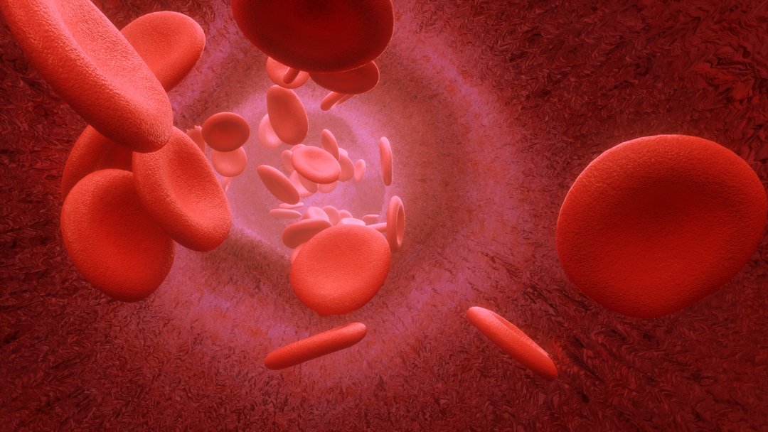 LDL e HDL: Entenda os diferentes tipos de colesterol e suas funções