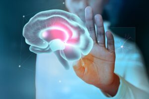 Hipófise: O que é e qual a sua importância?