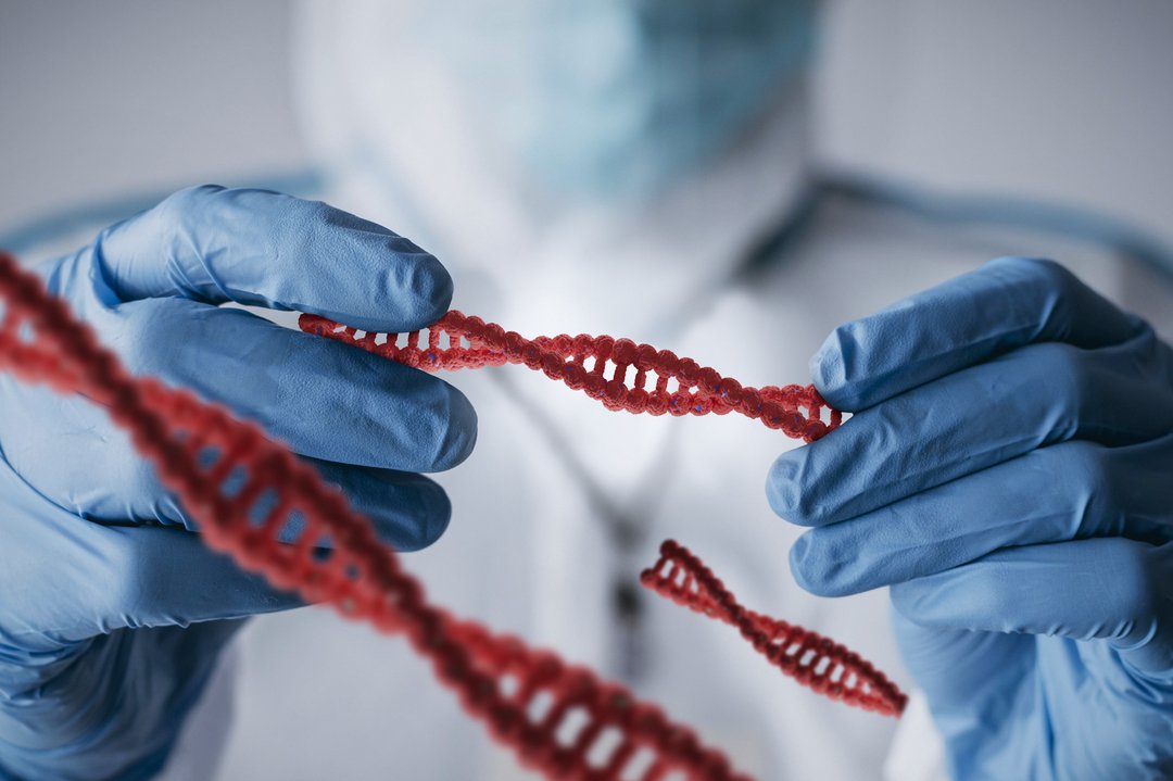 Medicina ortomolecular: quais distúrbios ela pode tratar?